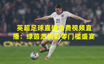 英超足球直播免费视频直播：绿茵激情的零门槛盛宴