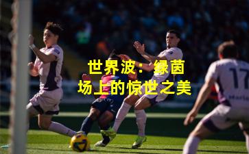 世界波:绿茵场上的惊世之美