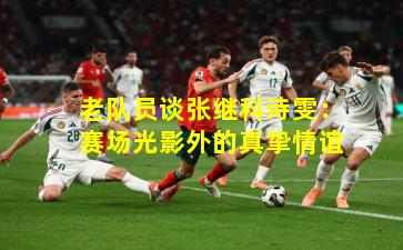 老队员谈张继科诗雯：赛场光影外的真挚情谊